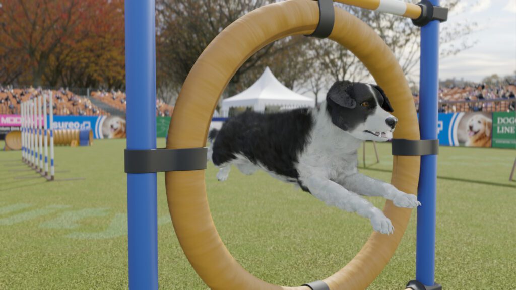 dog training contests