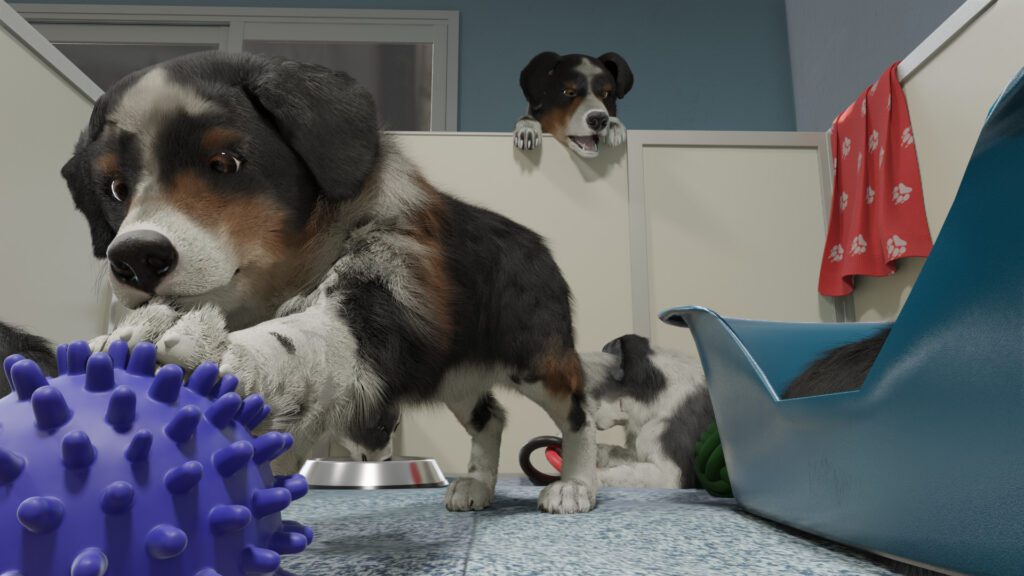 professional dog trainer