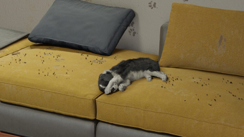 how to be a dog trainer