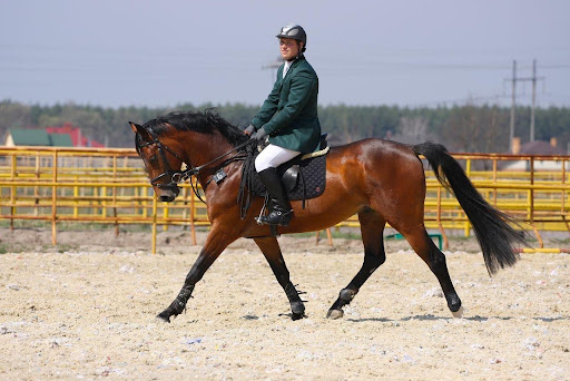 Stride Mechanics